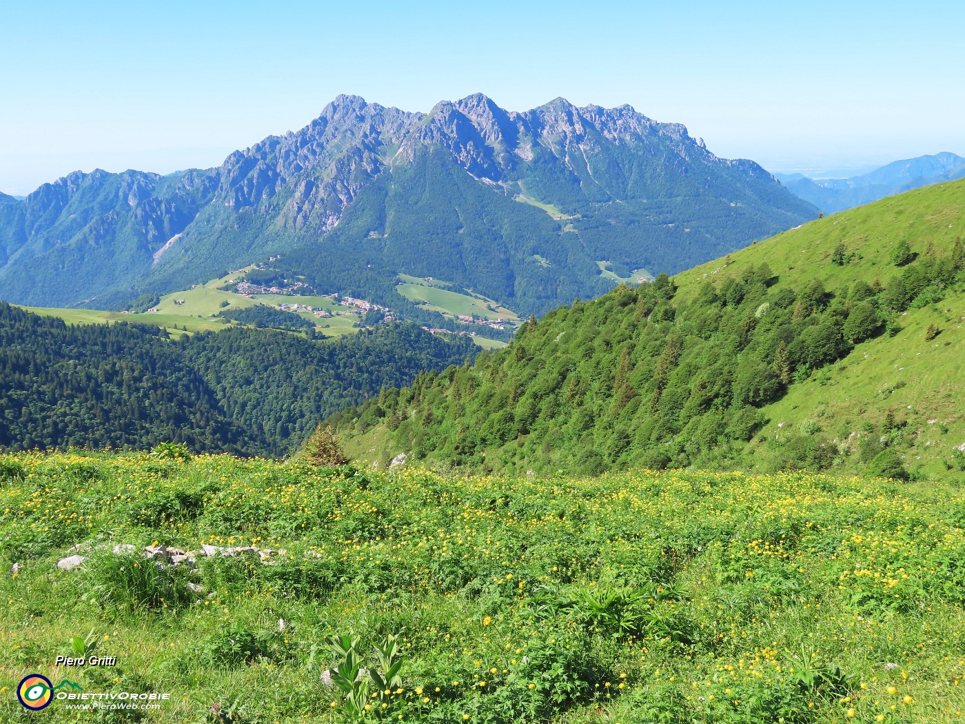 19 Distese fiorite di Trollius europaeus (Botton d'oro) con vista in Alben.JPG